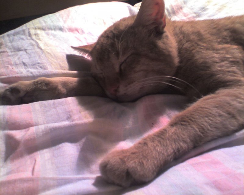 Picture0034.jpg, 146 KB